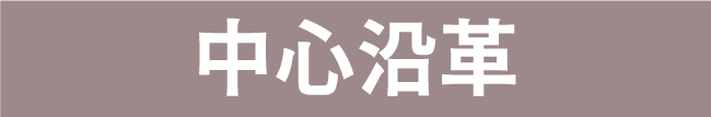 中心沿革
